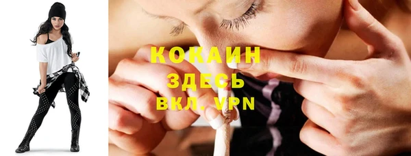 дживик Корсаков