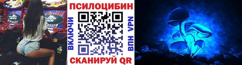 что такое   Колпашево  Псилоцибиновые грибы ЛСД 